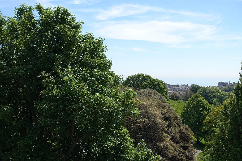 View from Kitchen